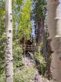 4085 Cougar Ridge Trail - Photo 55