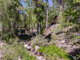 4085 Cougar Ridge Trail - Photo 56