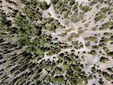 4085 Cougar Ridge Trail - Photo 6