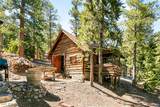 4085 Cougar Ridge Trail - Photo 61