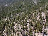4085 Cougar Ridge Trail - Photo 8