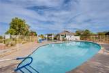 5245 Roca Lane - Photo 31