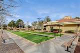 10008 Button Willow Drive - Photo 54