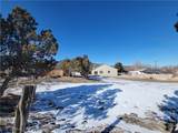 2321 Campton Street - Photo 73