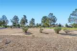 3219 Kingbird Drive - Photo 32