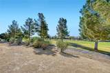 3219 Kingbird Drive - Photo 33