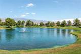 4310 Cactus Canyon - Photo 46