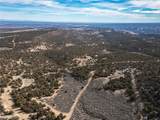  Pinion Pines - Photo 3