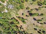 3953 Ski Trail Circle - Photo 19