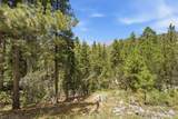 3953 Ski Trail Circle - Photo 2