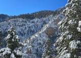 3953 Ski Trail Circle - Photo 25