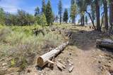3953 Ski Trail Circle - Photo 5