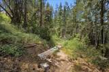 3953 Ski Trail Circle - Photo 6