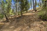 3953 Ski Trail Circle - Photo 7