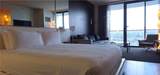 4381 Flamingo Road - Photo 15