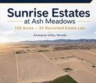 3715 Palo Verde Road - Photo 1