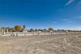 2 Acres Guy & Torrey Pines - Photo 13