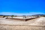2 Acres Guy & Torrey Pines - Photo 15
