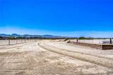 2 Acres Guy & Torrey Pines - Photo 6