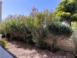 6820 San Ricardo Avenue - Photo 15