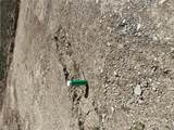 2085 17th Street - Photo 8