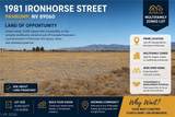 1981 Ironhorse Street - Photo 1