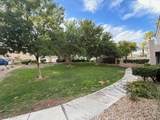 10001 Peace Way - Photo 45