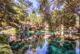 7012 Bright Springs Court - Photo 31