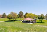 2906 Pumpkin Harvest Avenue - Photo 47