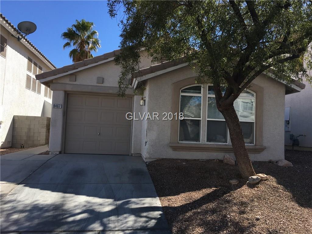 8467 Opal Splendor Avenue - Photo 1