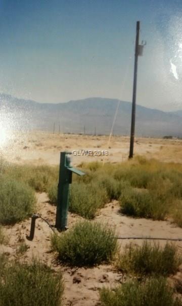 1650 Palm - Photo 1