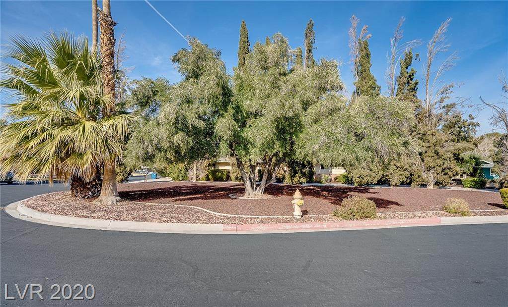 3204 Sonia Drive - Photo 1