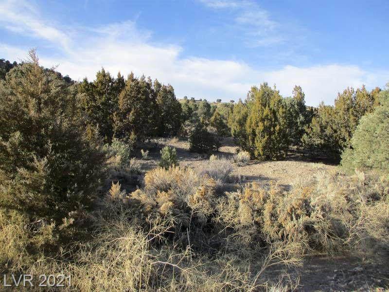 Nv Hwy 322-30.15 Acres - Photo 1