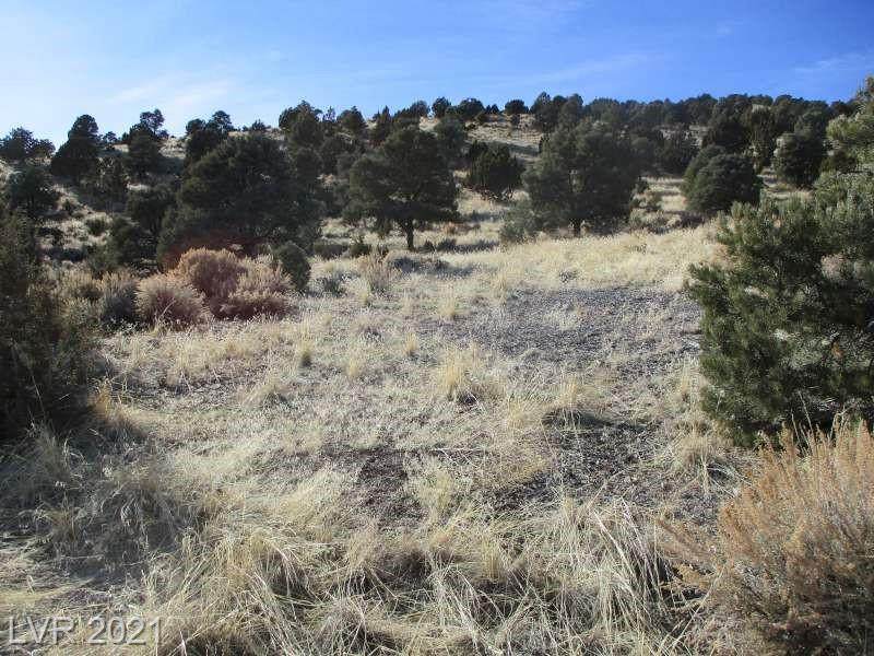 Nv Hwy 322-10.012 Acres - Photo 1
