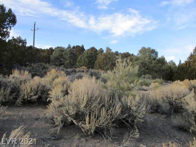 Nv Hwy 322-9.86 Acres - Photo 1