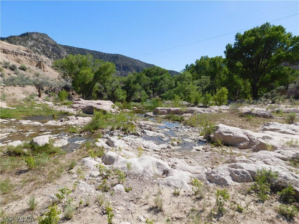 Highway 317 - 64.42 Acres - Photo 1