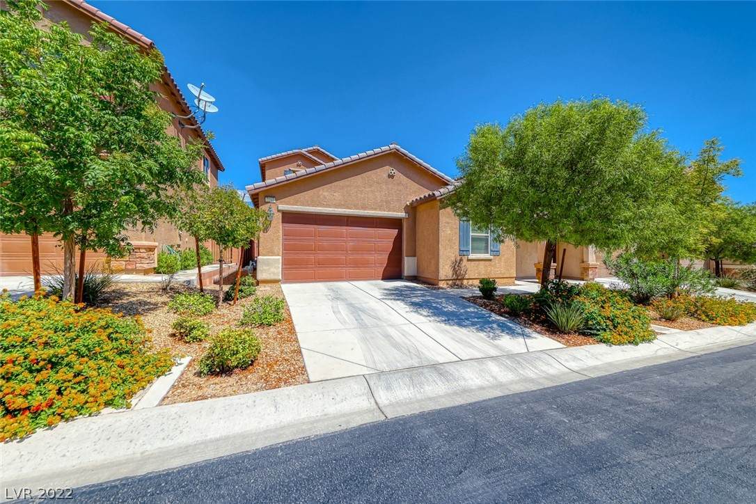 7292 Lavender Rose Avenue - Photo 1