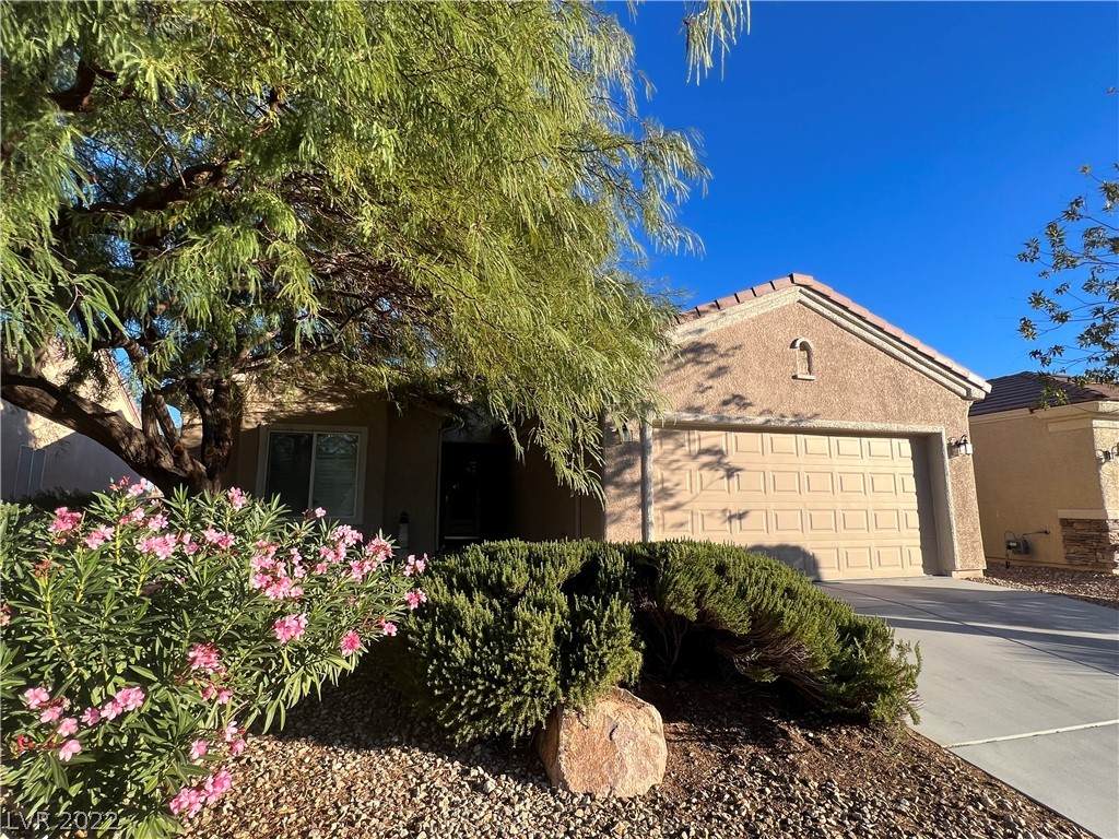 7724 Fruit Dove Street - Photo 1