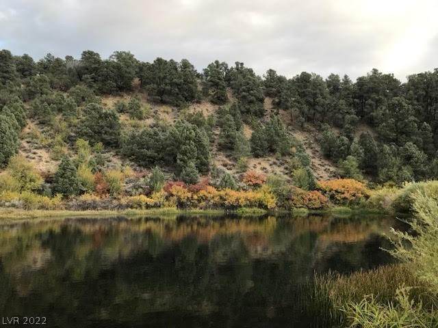 13300 Willard Creek Ranch Road - Photo 1