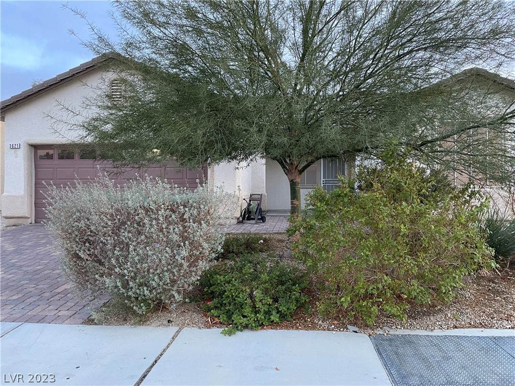 3621 El Campo Grande Avenue - Photo 1
