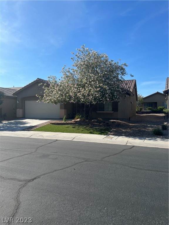 6092 Fox Creek Avenue - Photo 1