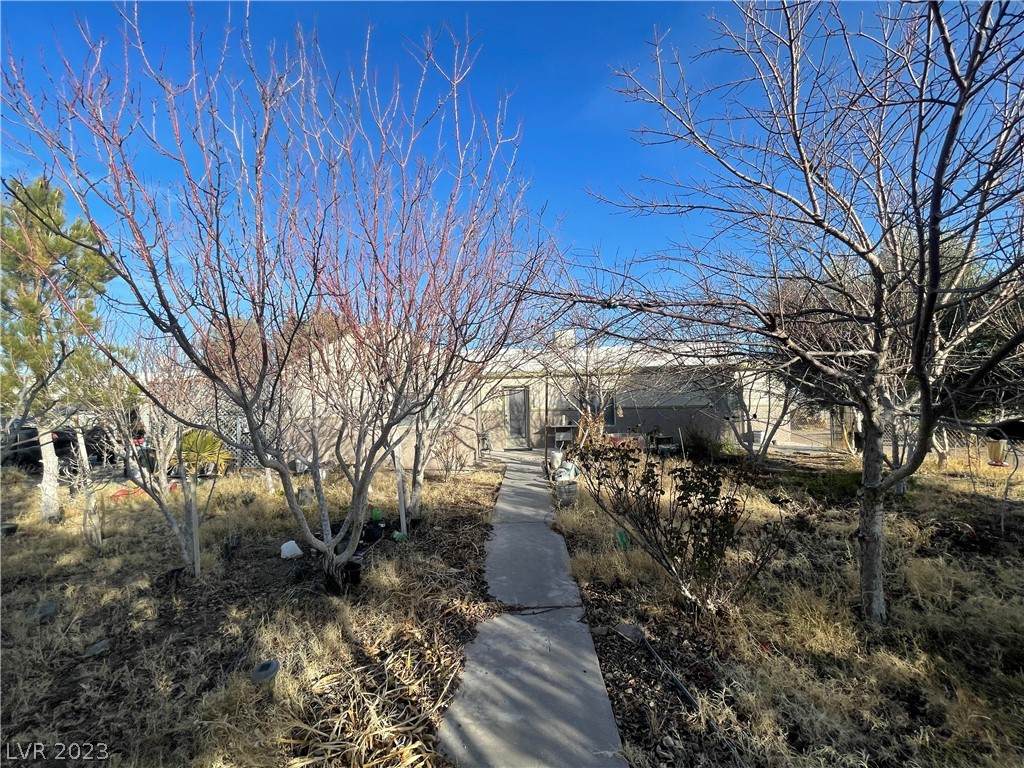 2329 Tamarack Road - Photo 1