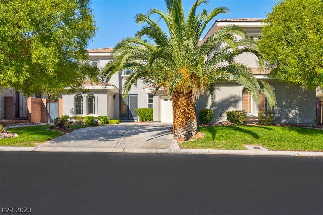 105 Buteo Woods Lane - Photo 1