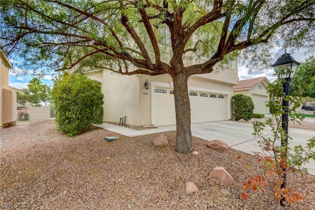 9029 Tumblewood Avenue - Photo 1