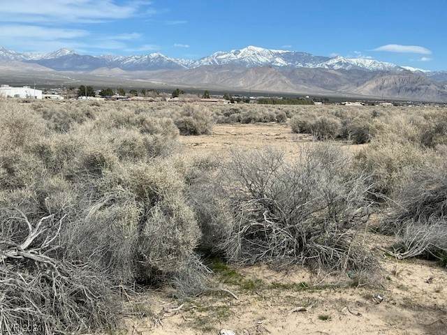 https://bt-photos.global.ssl.fastly.net/vegas/orig_boomver_1_2478040-2.jpg