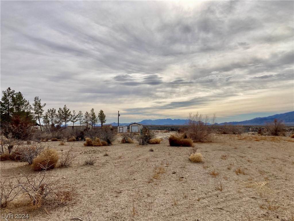 1021 Carson Street - Photo 1