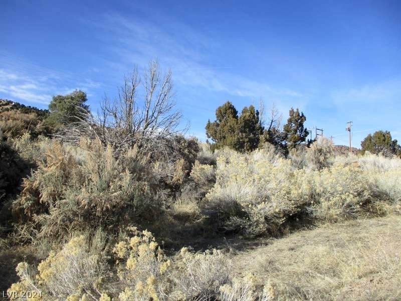 Nevada Hwy 322 (2.46 Ac) - Photo 1