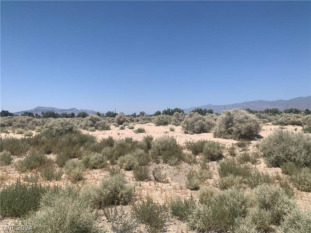 1670 Casino Street - Photo 1