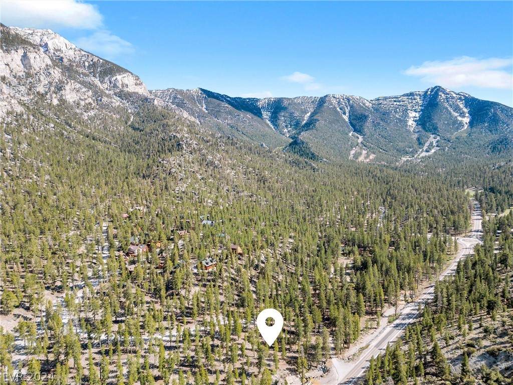  Lee Canyon Road - Photo 1