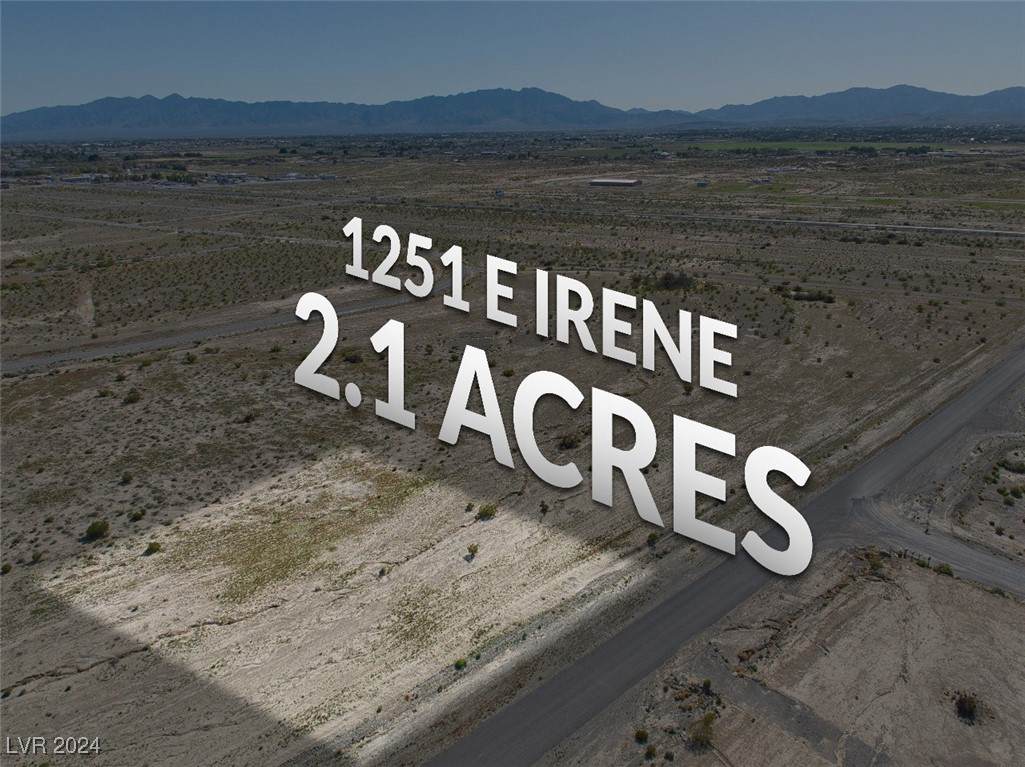1251 Irene Street - Photo 1